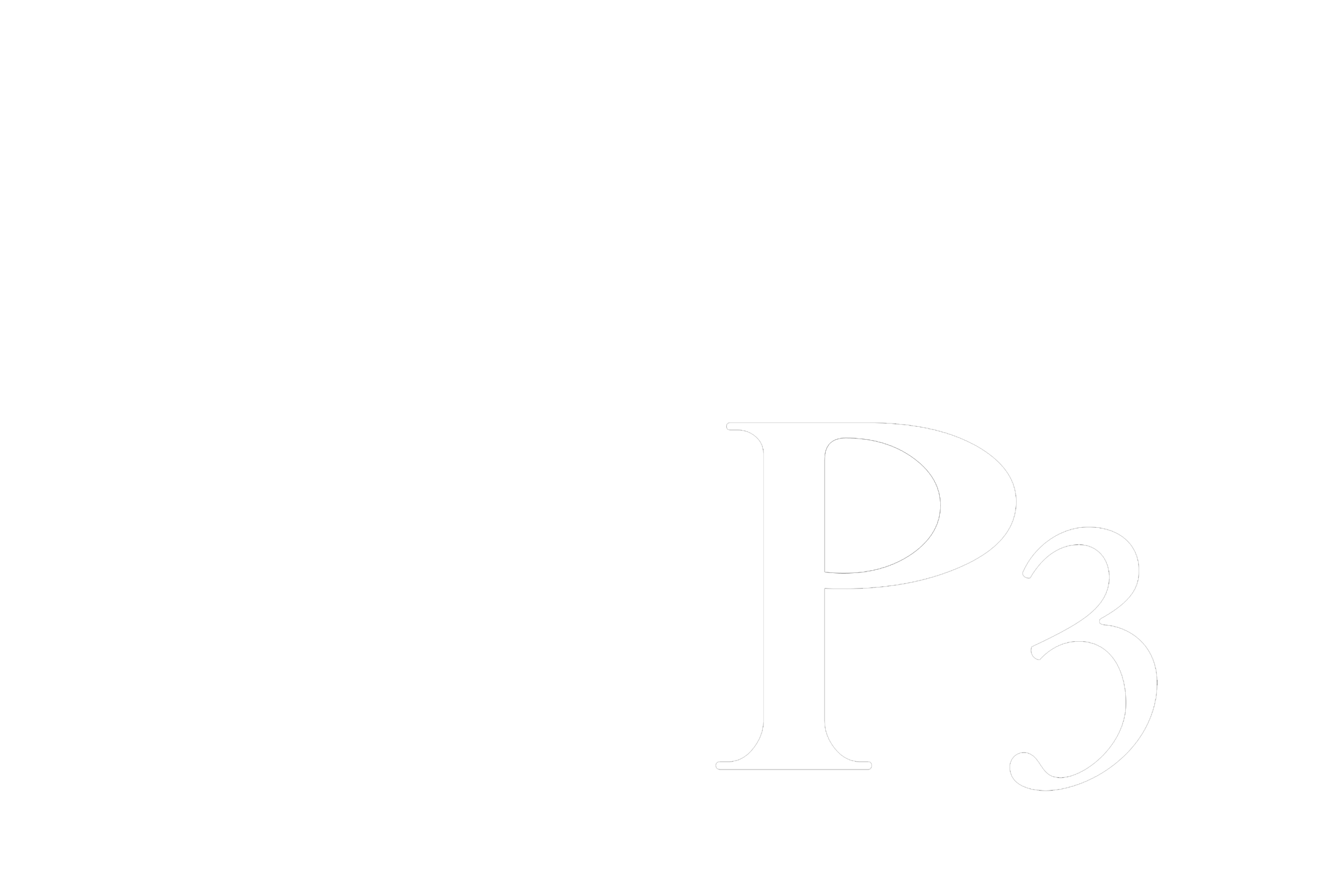 P3